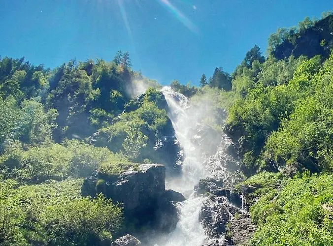 Schaller Am Galsterberg *